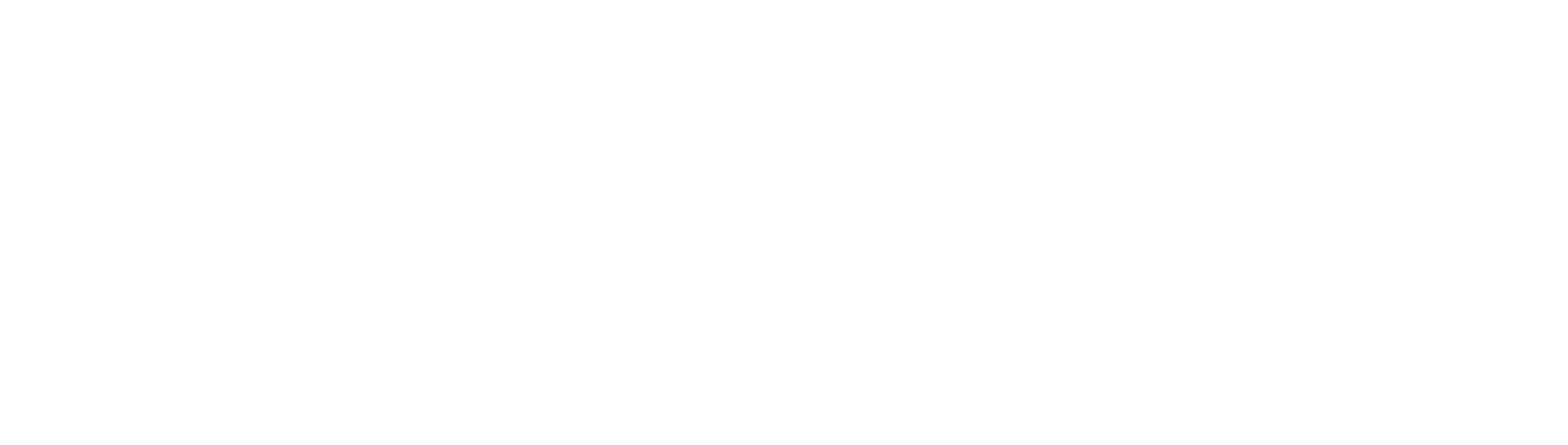 Bienstock_Brand_Logo_Full_Reverse